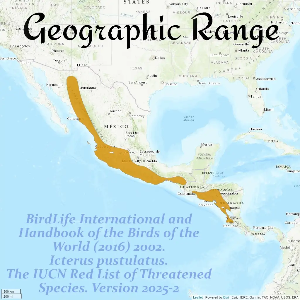 Geographic Range
