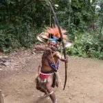 パプア先住民の羽飾り