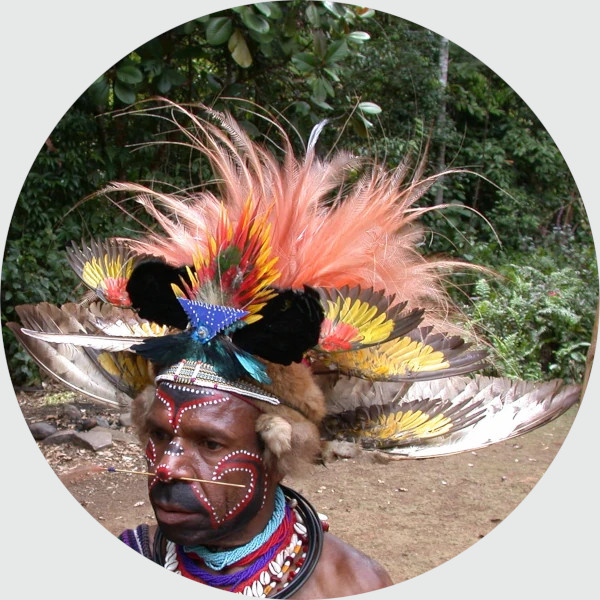 パプア先住民の羽飾り
