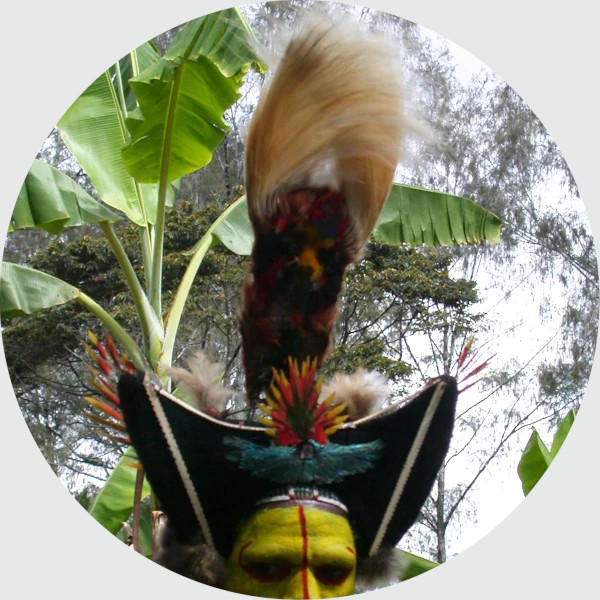 パプア先住民の羽飾り