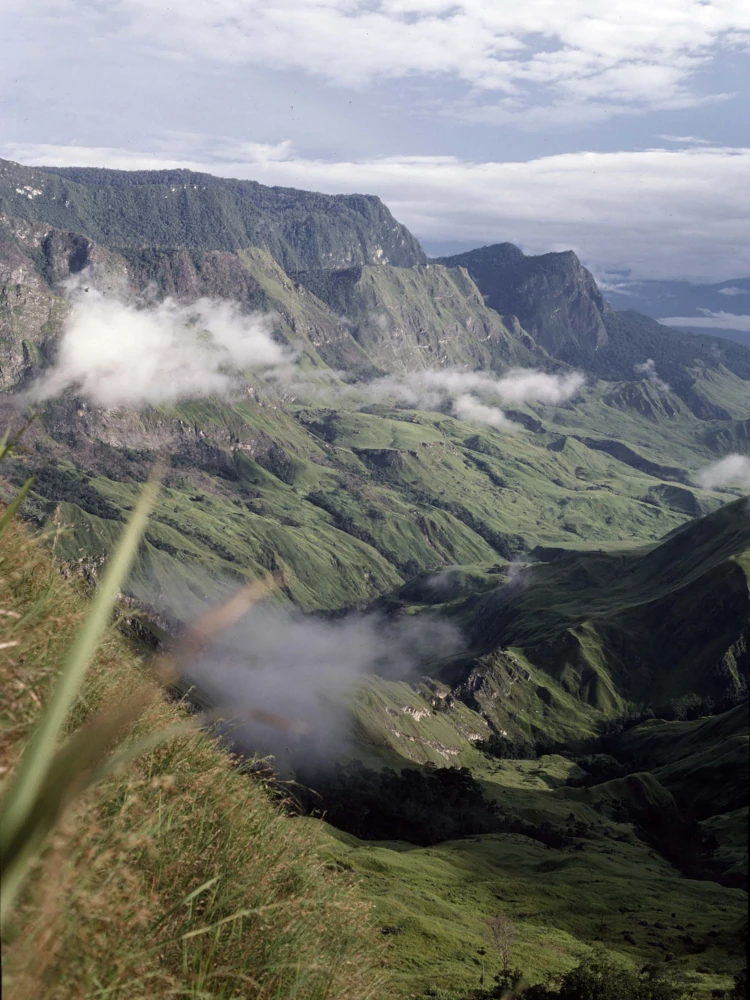 Strickland Gorge ストリックランド峡谷