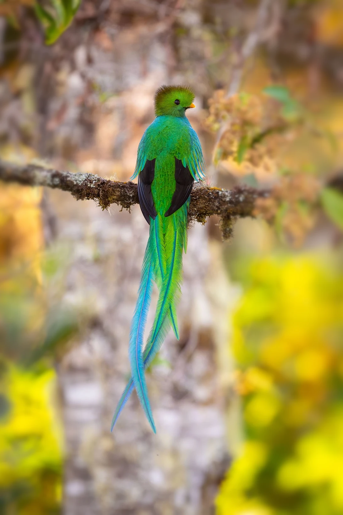 コスタリカ 自然保護区