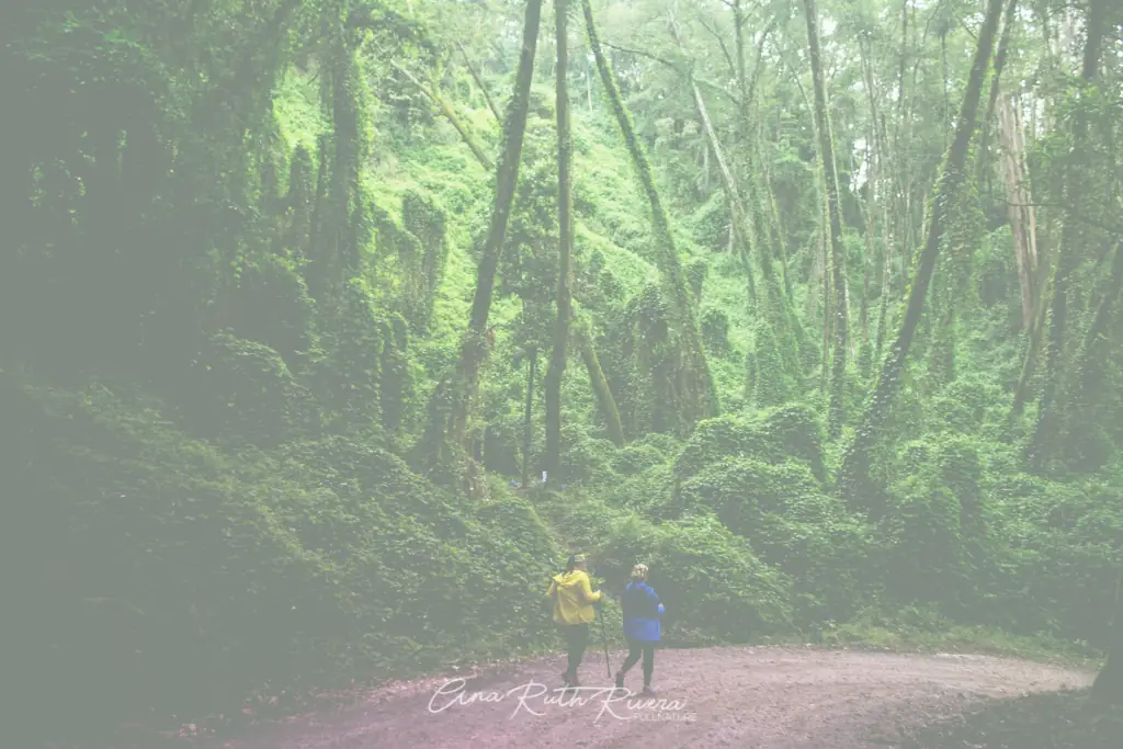 Parque Nacional Volcán Irazú (Sector Prusia) ボルカン・イラス - セクトール・プルシア国立公園