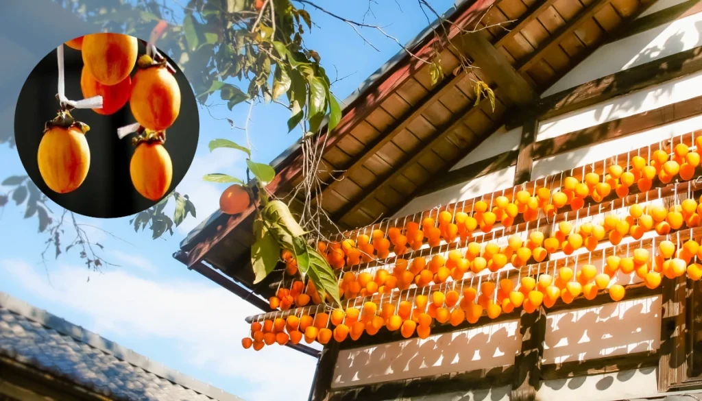 干し柿(Dried persimmon)
