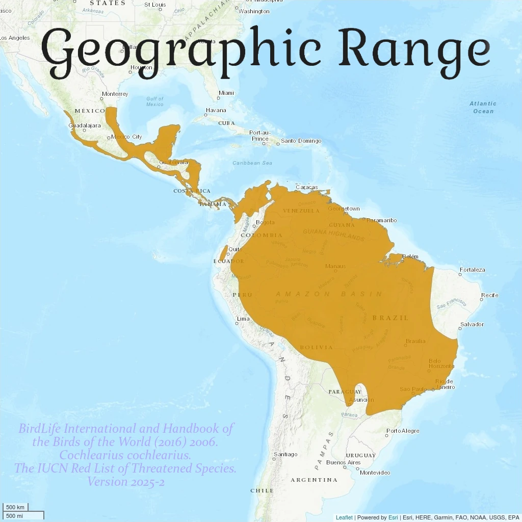 Boat-billed-heron_Geographic-range