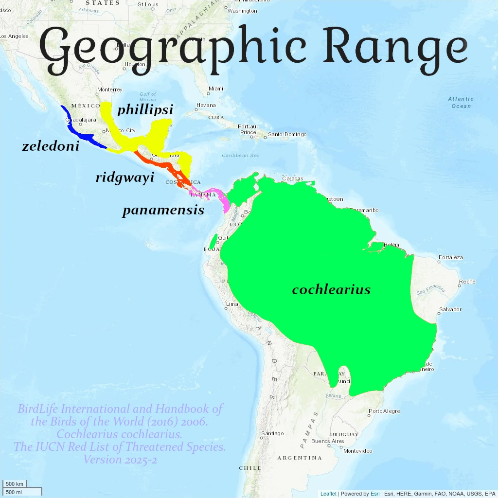 Distribution of the Boat-billed Heron